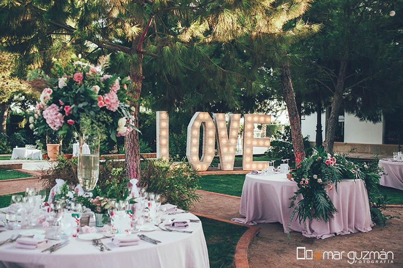 Discovering The Wedery